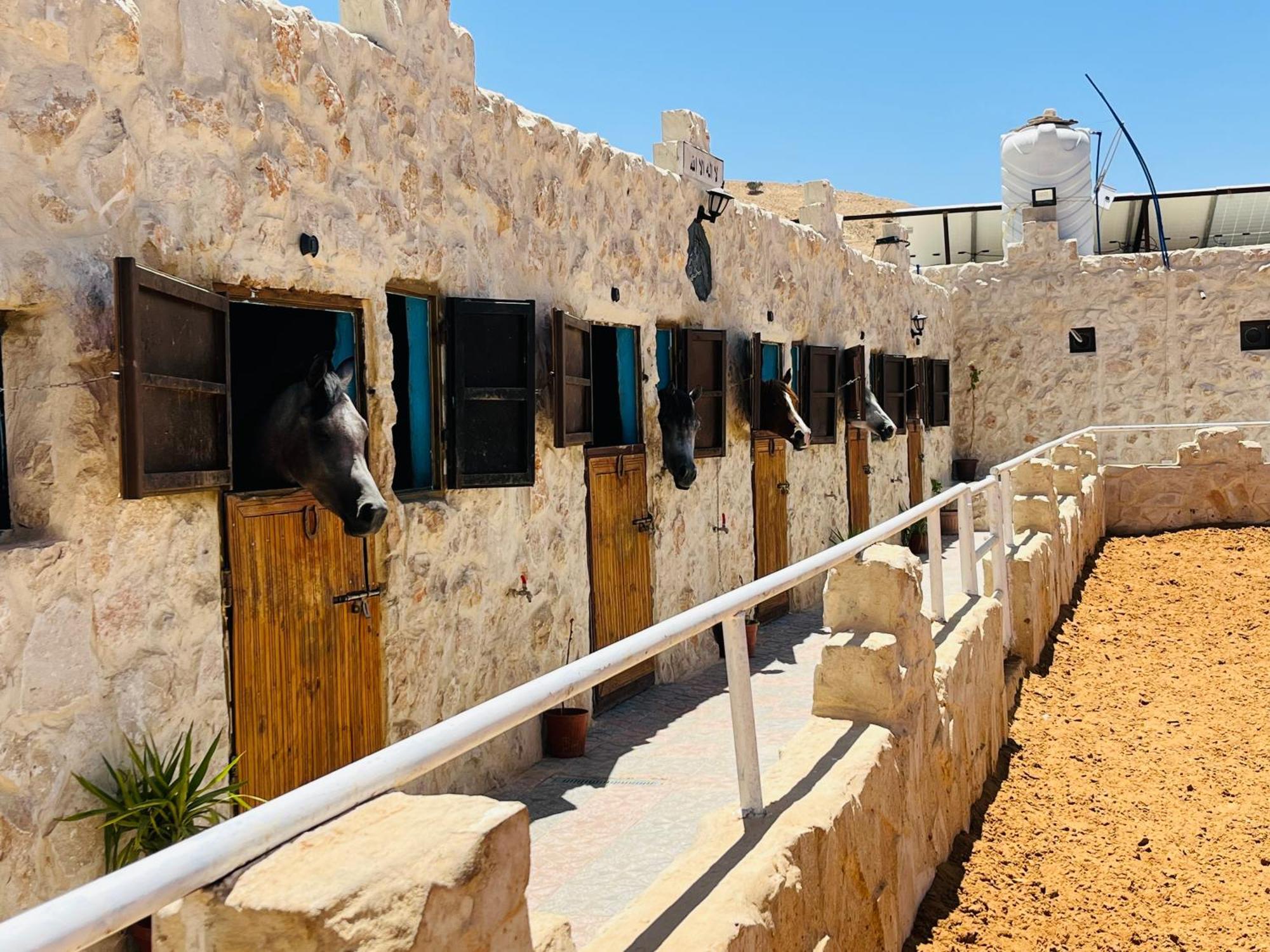 Petra Royal Ranch Bed & Breakfast Wadi Musa Exterior photo