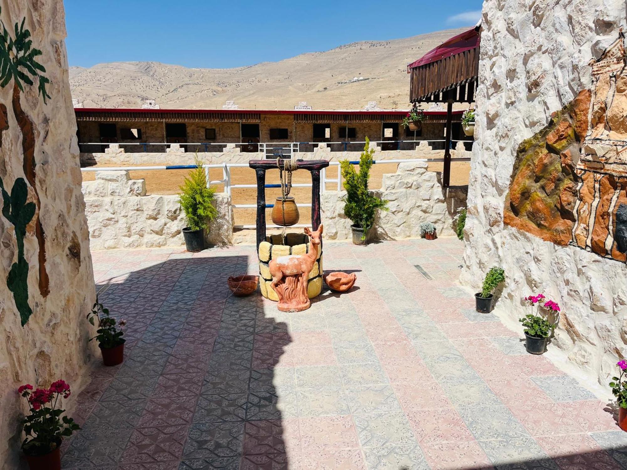 Petra Royal Ranch Bed & Breakfast Wadi Musa Exterior photo