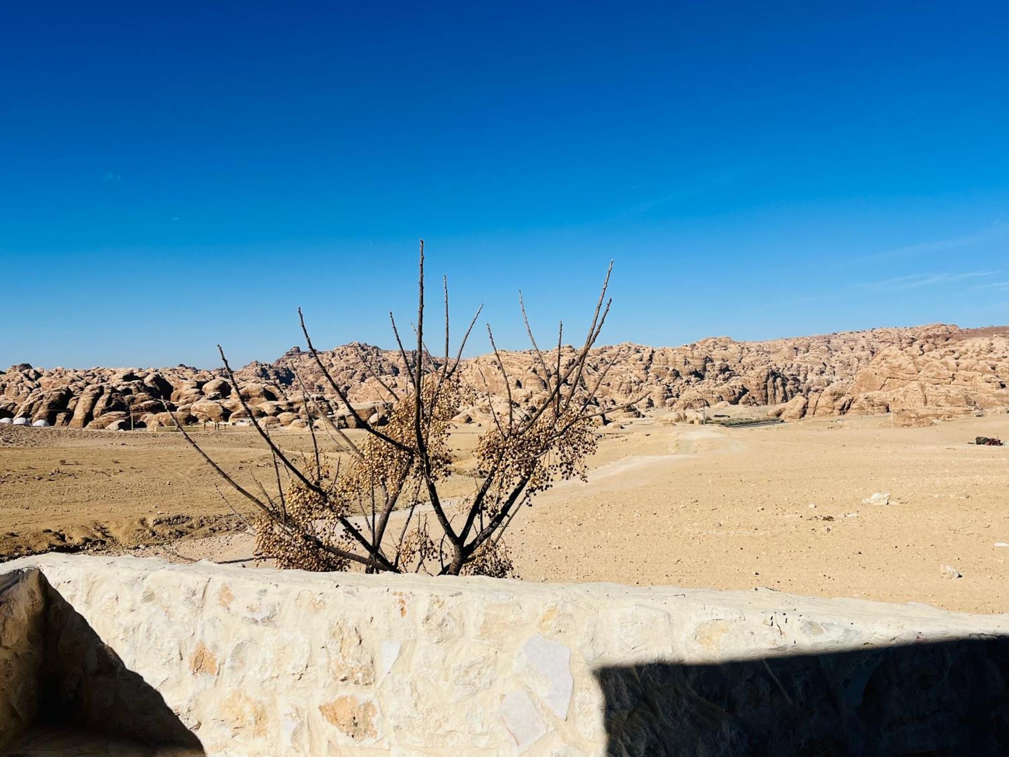 Petra Royal Ranch Bed & Breakfast Wadi Musa Exterior photo